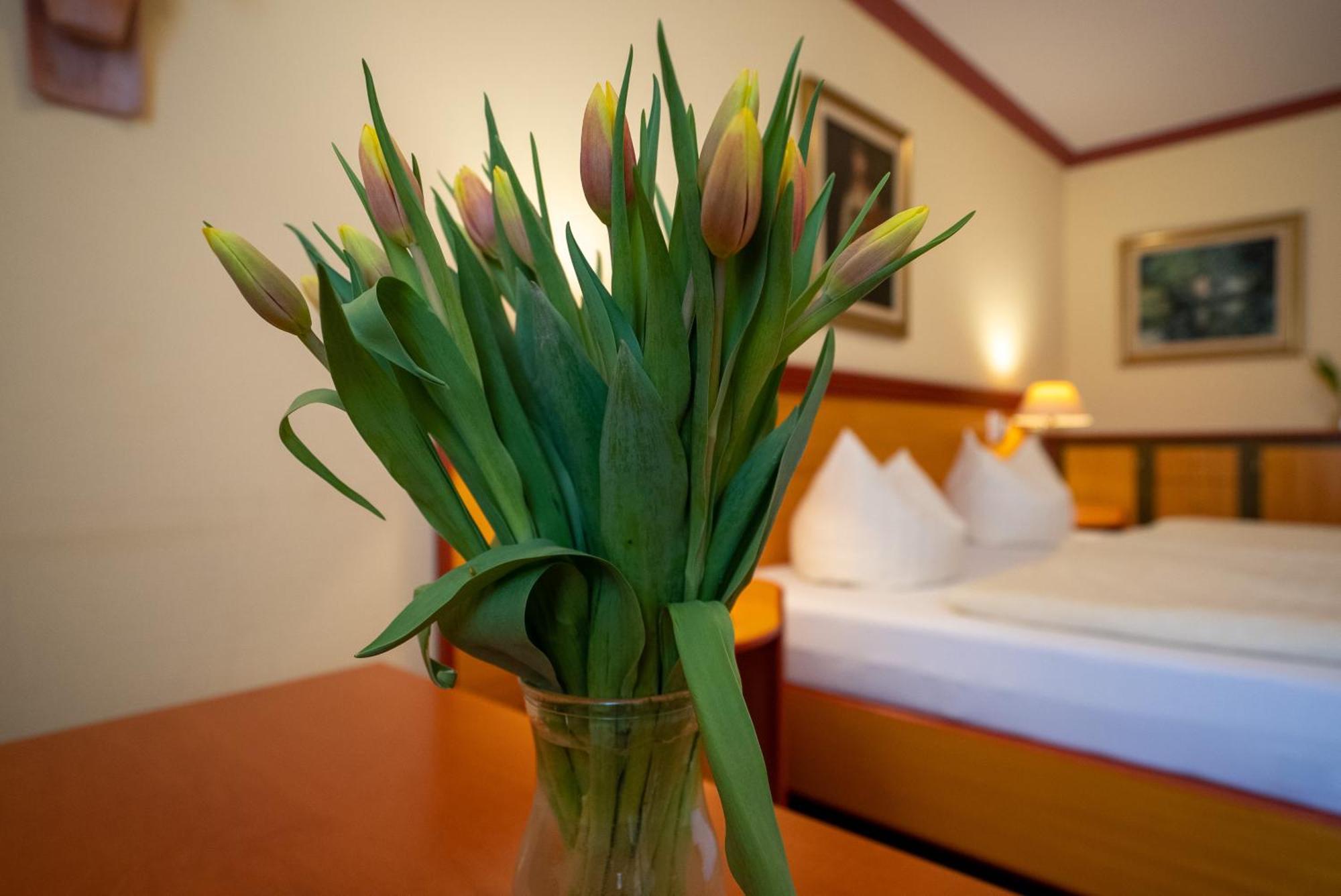 Hotel Esplanade & Aparthotel Rialto 宾茨 外观 照片